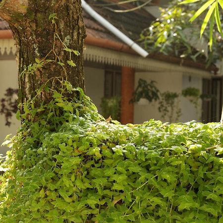 Mi Casa Tu Casa Homestay Kochi Екстер'єр фото